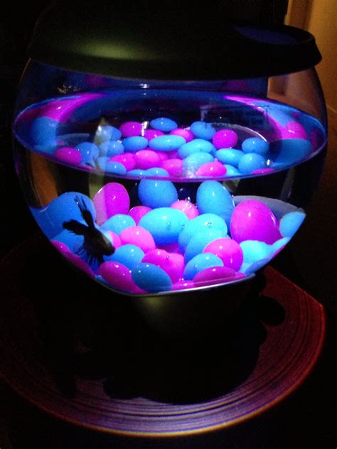Elevating your fish bowl to a new level of elegance with magical lights
